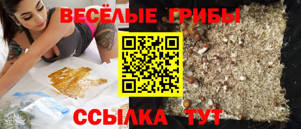 Галлюциногенные грибы Psilocybe  Вход с VPN  Канаш  Галлюциногенные грибы Cubensis 